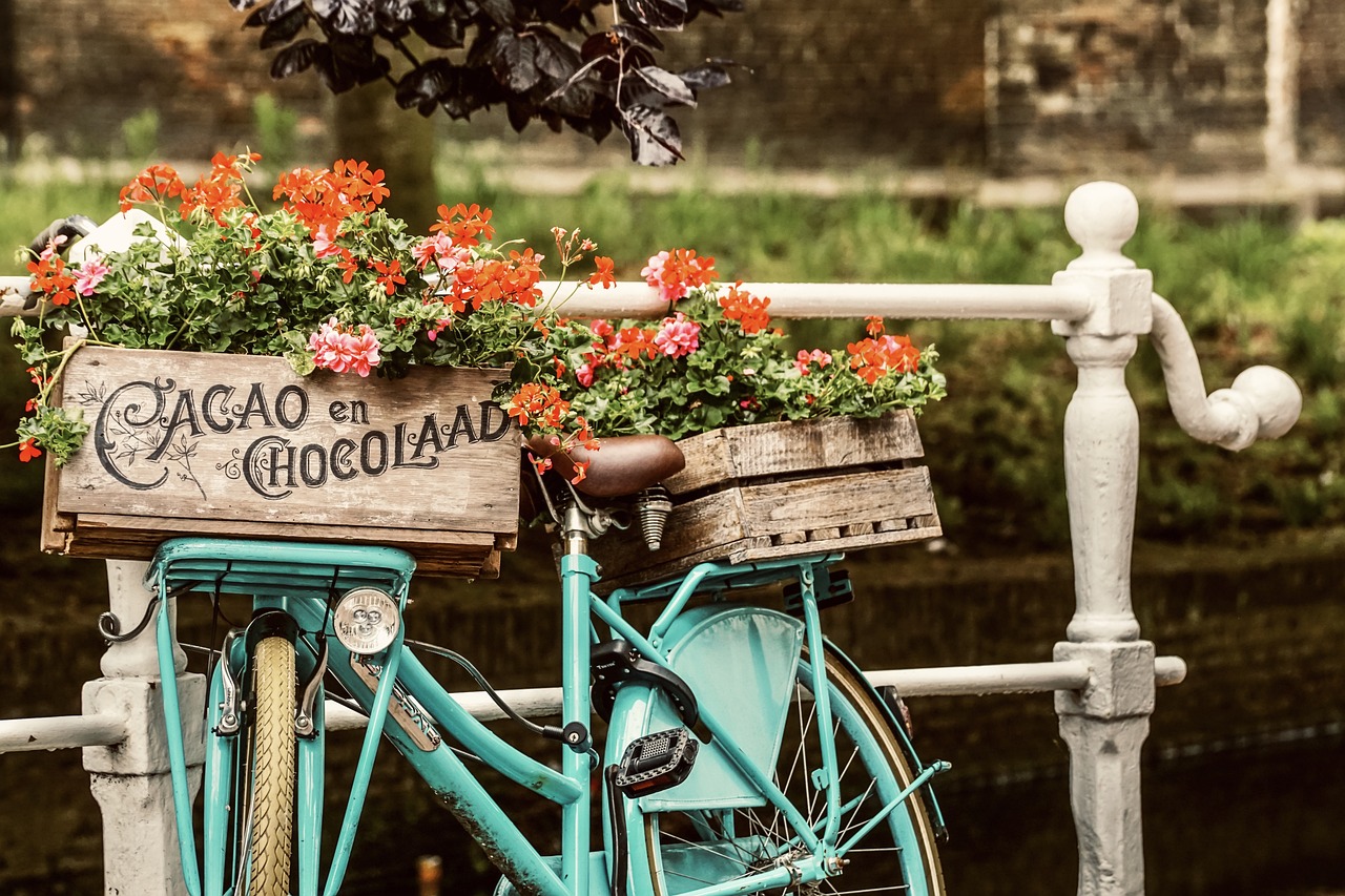 Eco-Friendly Transport Alternatives for Daily Commute